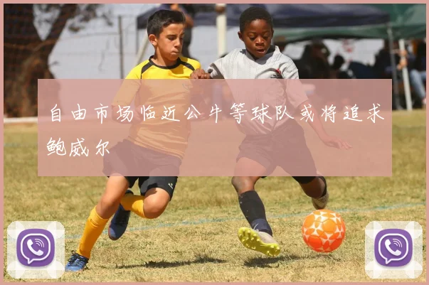 自由市场临近公牛等球队或将追求鲍威尔