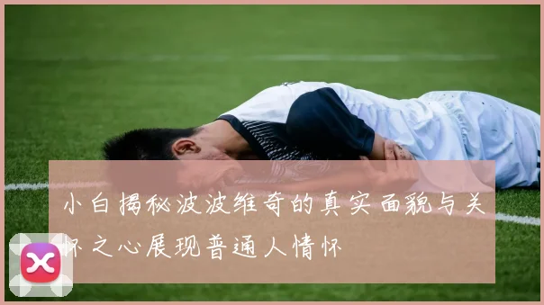 小白揭秘波波维奇的真实面貌与关怀之心展现普通人情怀